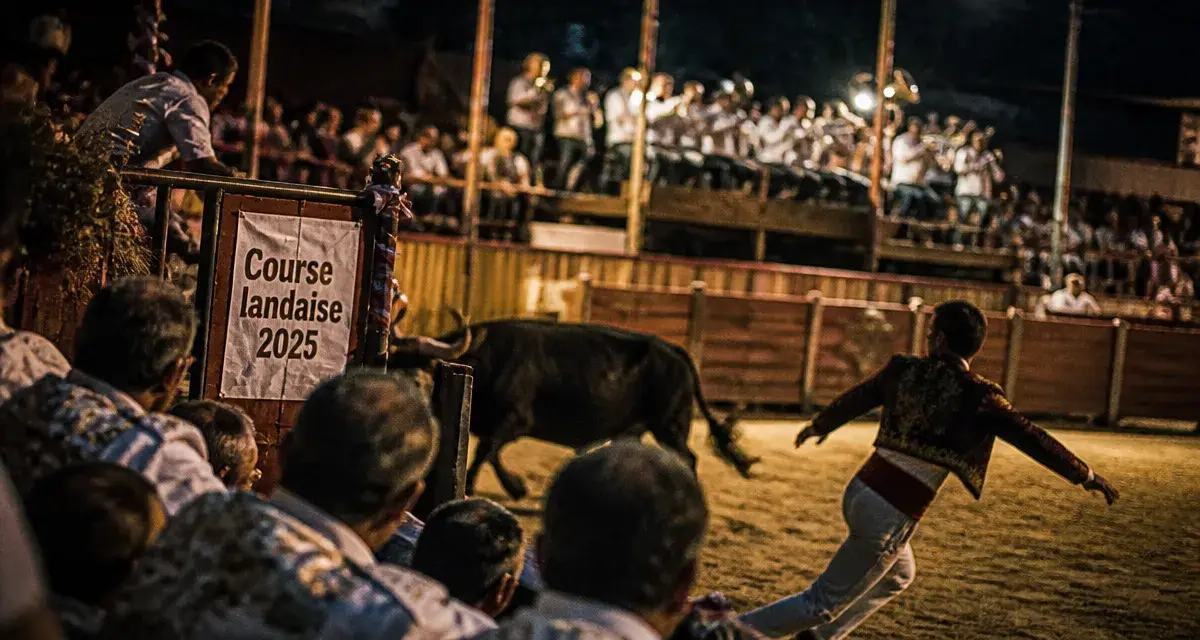 Course landaise 2025 : ambiance arène, public et écarteur