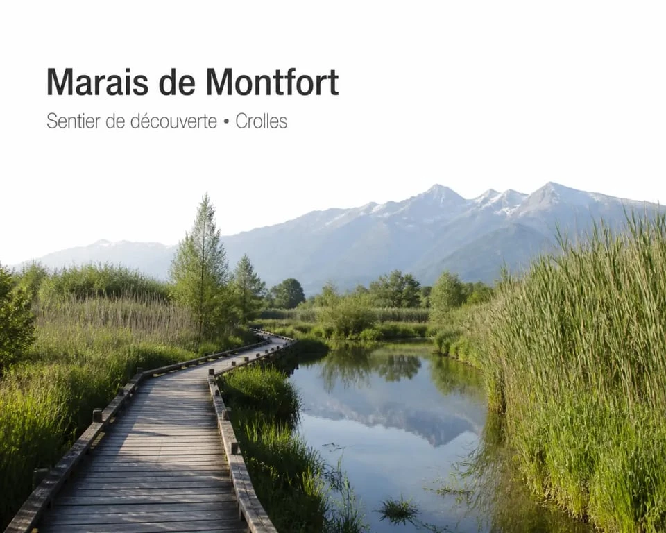 Espace naturel sensible du marais de Montfort : sentier en caillebotis dans une zone humide près de Crolles