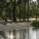 Lac d'hostens baignade en forêt, eau calme et pins