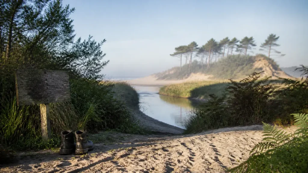 Les plus belles randonnées dans les landes : sentier au courant d’Huchet et dunes