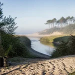 Les plus belles randonnées dans les landes : sentier au courant d’Huchet et dunes