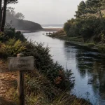 Site a visiter dans les landes : sentier vers le Courant d’Huchet et océan au loin