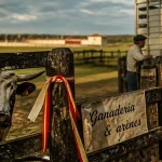 Visiter une ganaderia dans les Landes : vache coursière près des arènes de Soustons