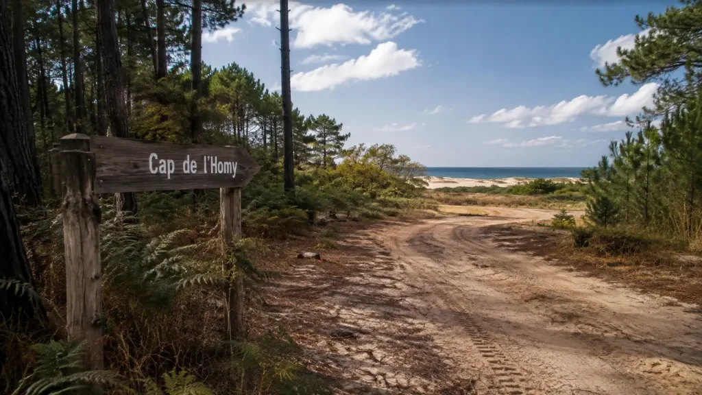 Lit-et-Mixe : route vers Cap de l’Homy, pins et dunes de l’Atlantique