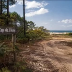 Lit-et-Mixe : route vers Cap de l’Homy, pins et dunes de l’Atlantique
