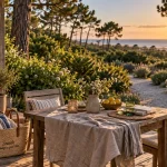 Location vacances Castets Landes : terrasse bois vers l’océan