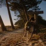 Vacances dans les landes blog : vélo sur chemin sableux, itinéraire Landes