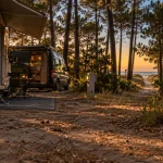 Biscarrosse camping car : van et camping-car sous pins à l’aire du Vivier