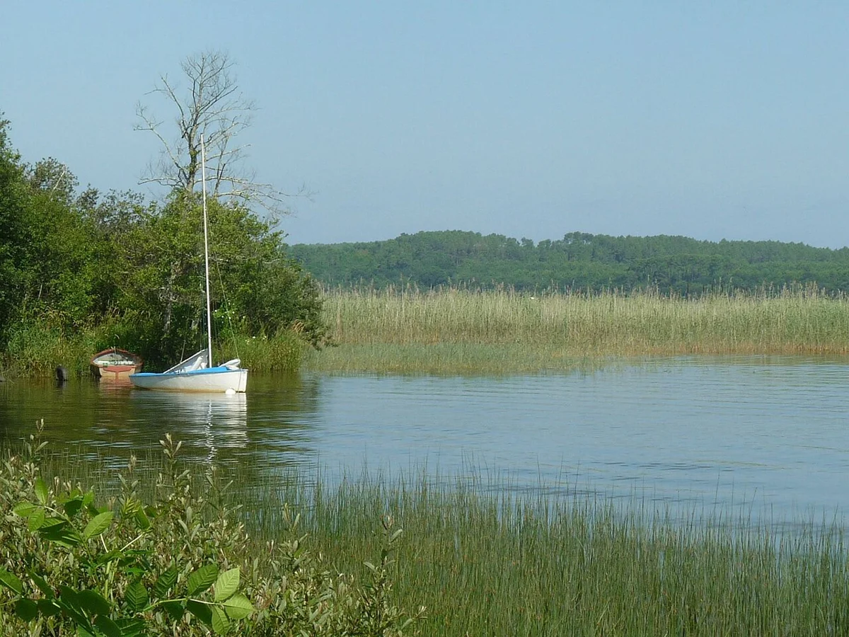 Vue du lac d’Aureilhan et de sa rive